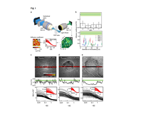 Biofilms Nature