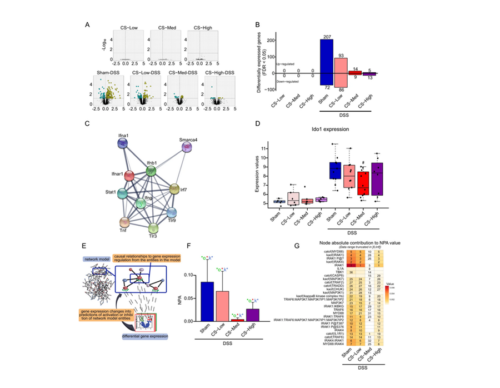 scientidic reports cigarett smoke