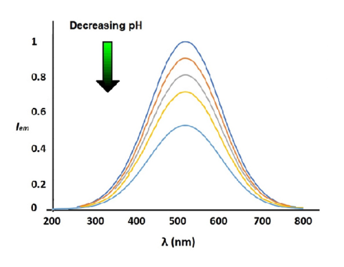 pH-probes FITC dextran