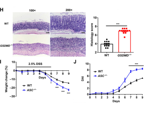 Colitis Science DSS model