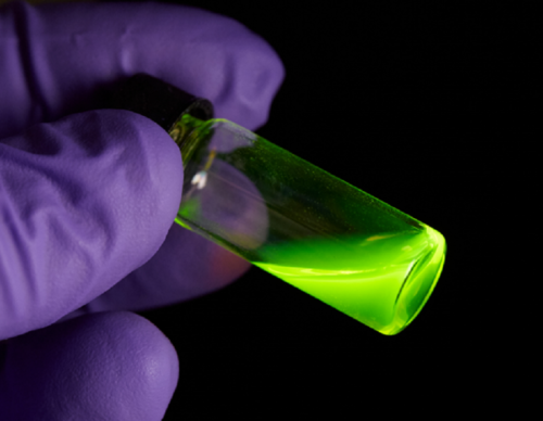 Fluorescent derivatives