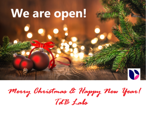 Merry Christmas from TdB Labs